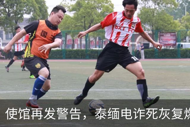 使馆再发警告，泰缅电诈死灰复燃，大量国人遭诱骗，谁在自寻死路
