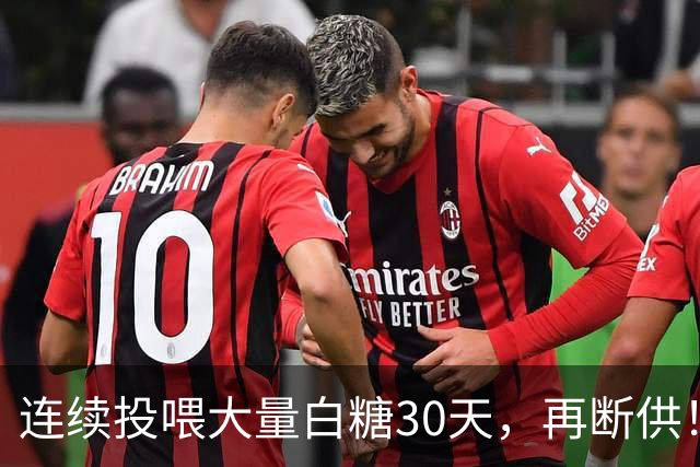 连续投喂大量白糖30天，再断供！国外网红扮“蚂蚁天神”整蛊野生蚁群